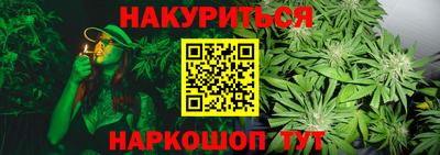 PSILOCYBIN Бийск