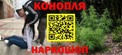 PSILOCYBIN Бийск
