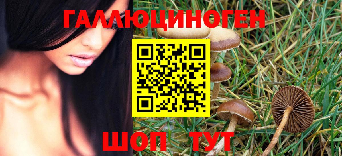 Псилоцибиновые грибы Magic Shrooms  Псилоцибиновые грибы Cubensis  Вход с VPN  Верхняя Пышма 